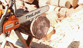 explotaci&oacute;n florestal