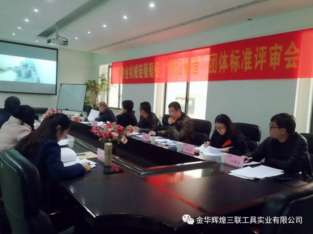 Reuni&oacute;n de revisi&oacute;n de est&aacute;ndares del grupo de cadenas de sierra